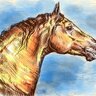 Stalion007