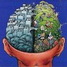 Active Brain