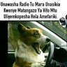 Kumbe ndoto