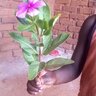Napenda familia yangu