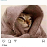 dafreytz