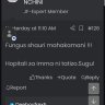 julaibibi