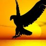 Giant Eagle