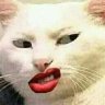 Jishoshangoko