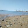 marundoo