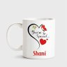 Shanily