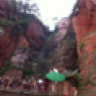 Kocha