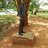 Toneva Pillar