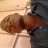 PIZZLE