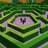 the maze