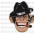 APEFACE