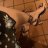 Romina