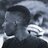 Jerome Adam MkaliWao
