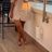 Priscallia