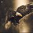 Eagle J