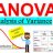 Mr Anova