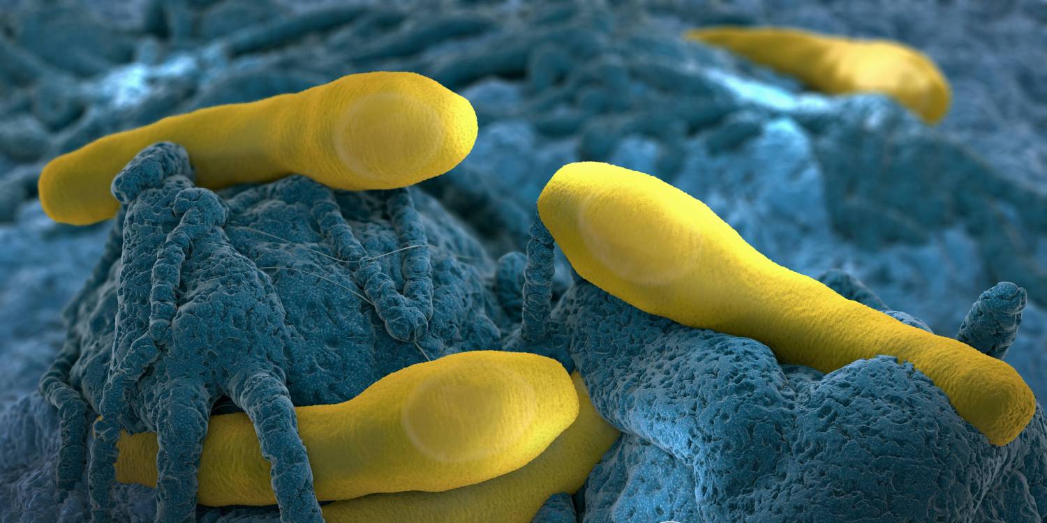 isifood-in-vitro-1.jpg